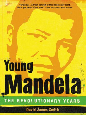 Young Mandela - ebook